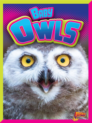 cover image of Baby Owls